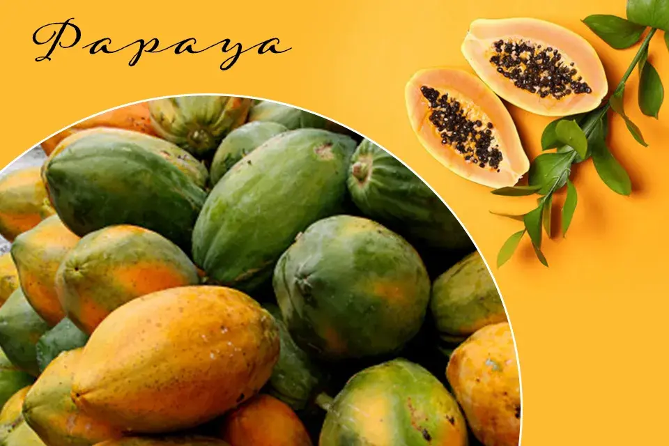 /var/www/html/rayvat_com/assets/images/fruit-day/Papaya_Day/4 (2)